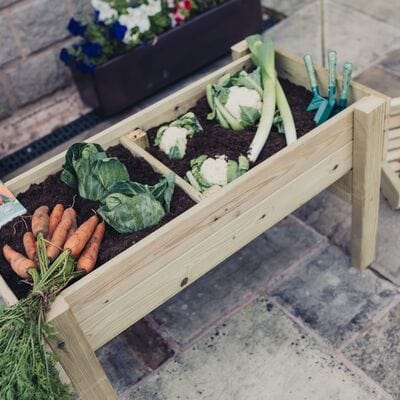 Churnet Valley Veggie Riser - 100cm x 60cm x 52cm - Churnet Valley