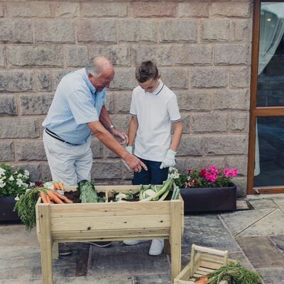 Churnet Valley Veggie Riser - 100cm x 60cm x 52cm - Churnet Valley
