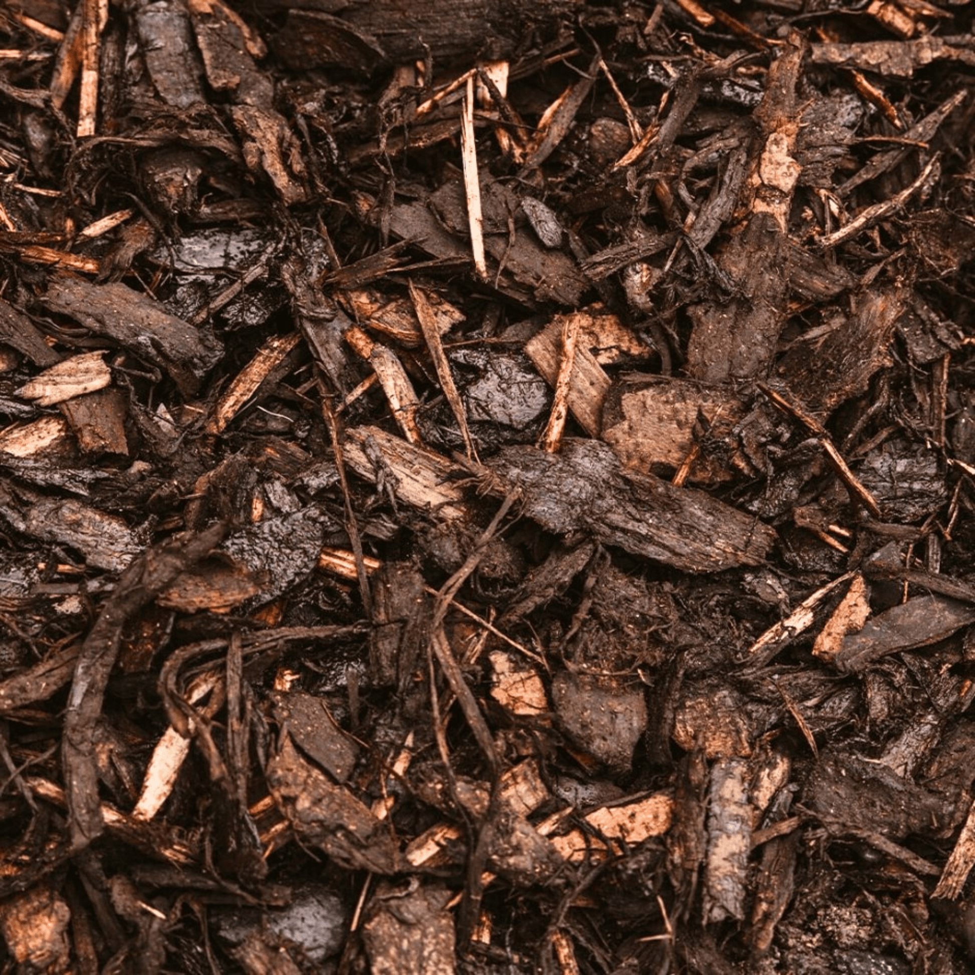 Landscaping Garden Bark Mulch - Dandy's Topsoil & Landscape Supplies Bark & Mulch