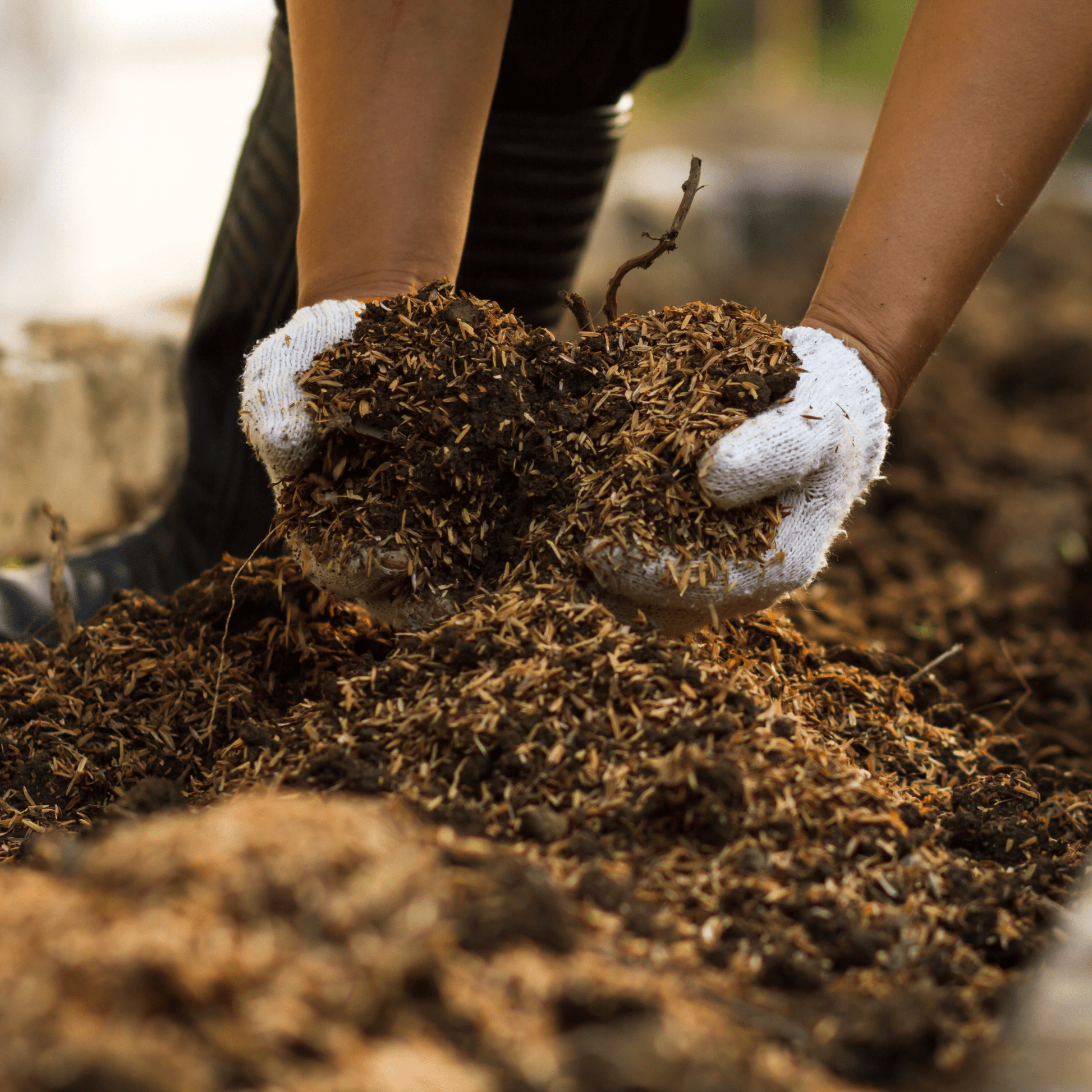 AutumnMix Compost Garden Mulch - Dandy's Topsoil & Landscape Supplies Topsoil & Compost