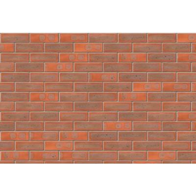 Dorking Multi Wirecut Facing Brick 65mm x 215mm x 102mm - Sample - Build4less