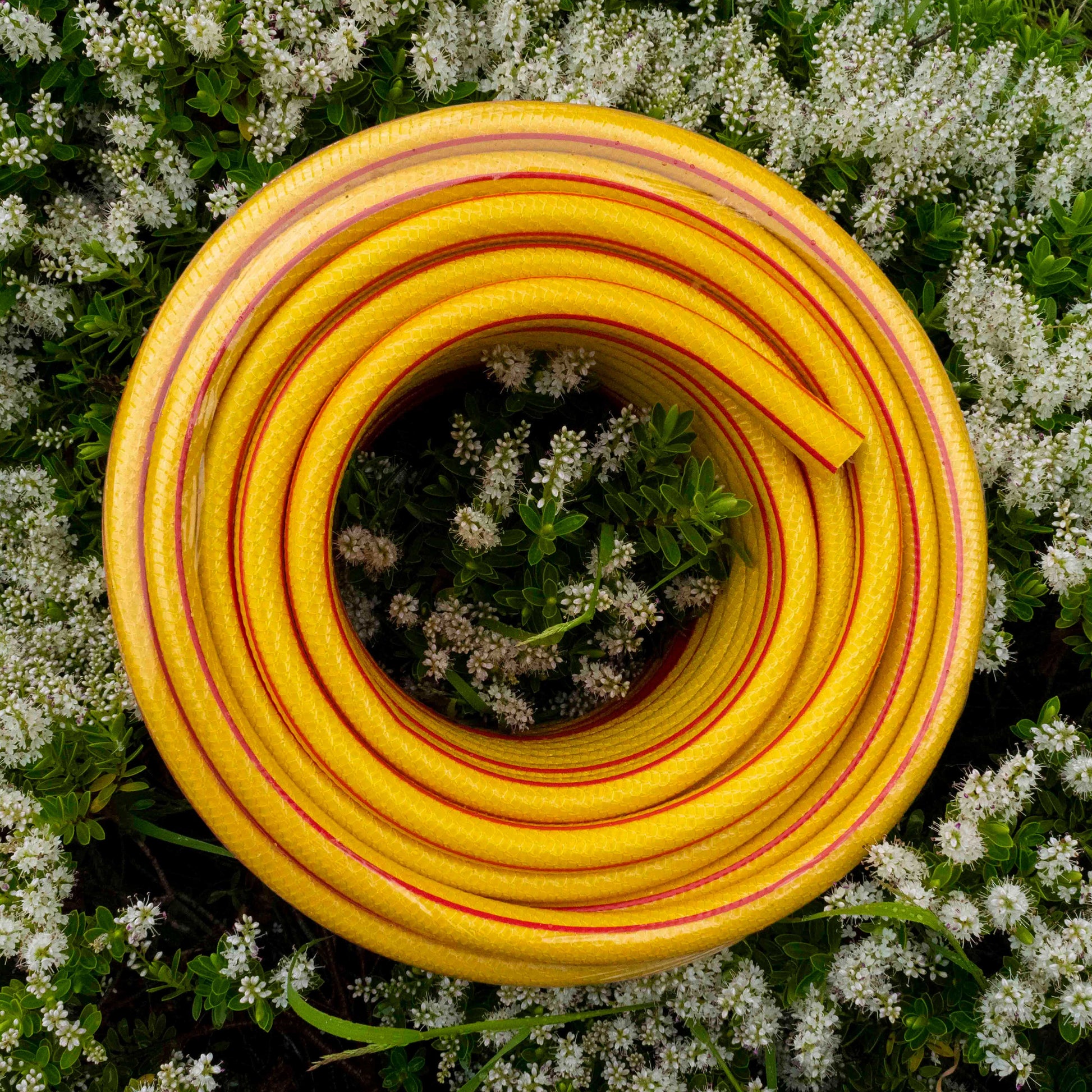 Premium Garden Hose 6-Layer 1/2" Pipe Yellow - Best4Trade-Retail Garden watering