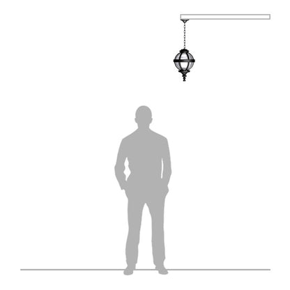 Victorian globe hanging light with chain 0.35m (H223)