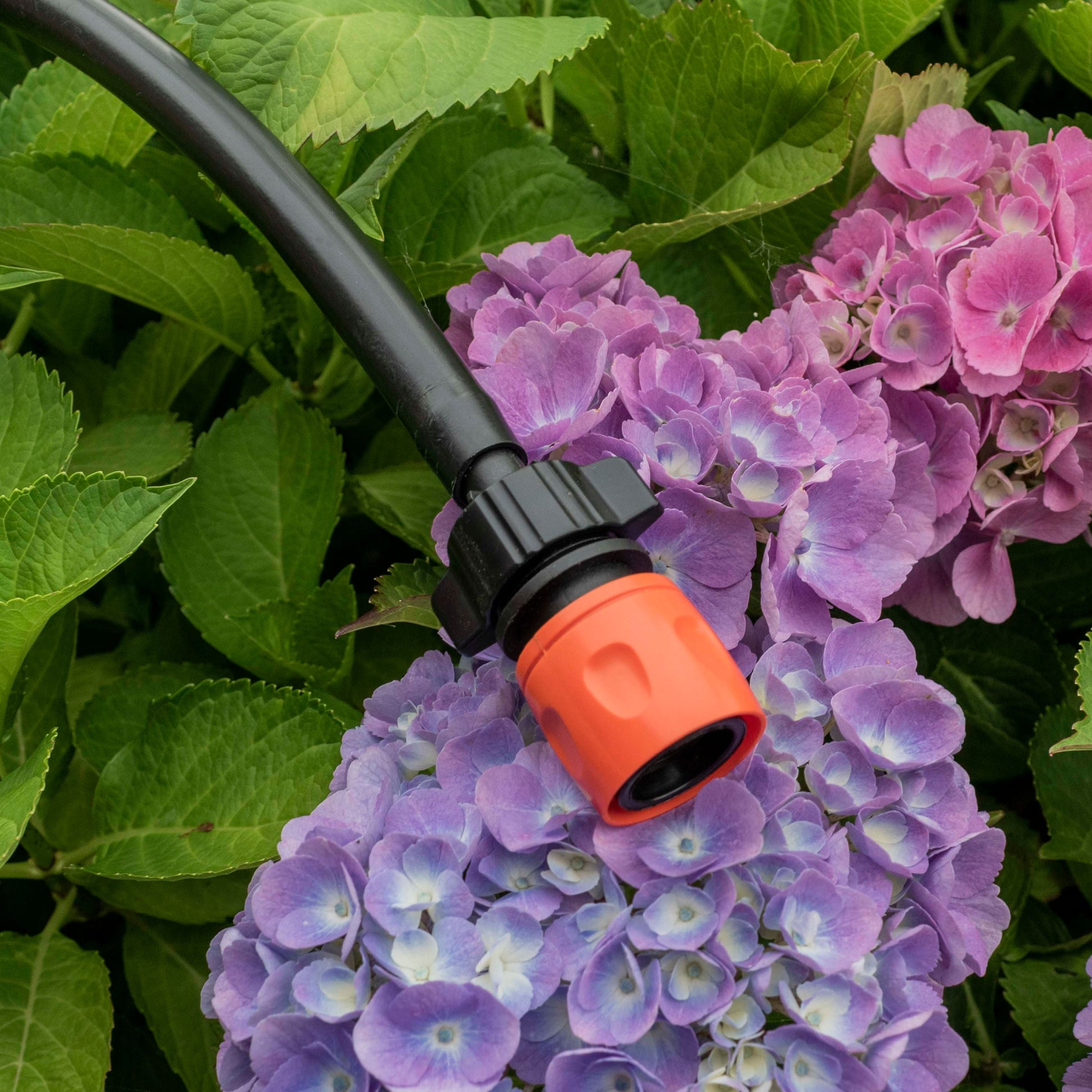 Hose Connector Blue with BSPF- Quick Connect Valve & Hose Connector 16mm Barb - Best4Trade-Retail Garden watering