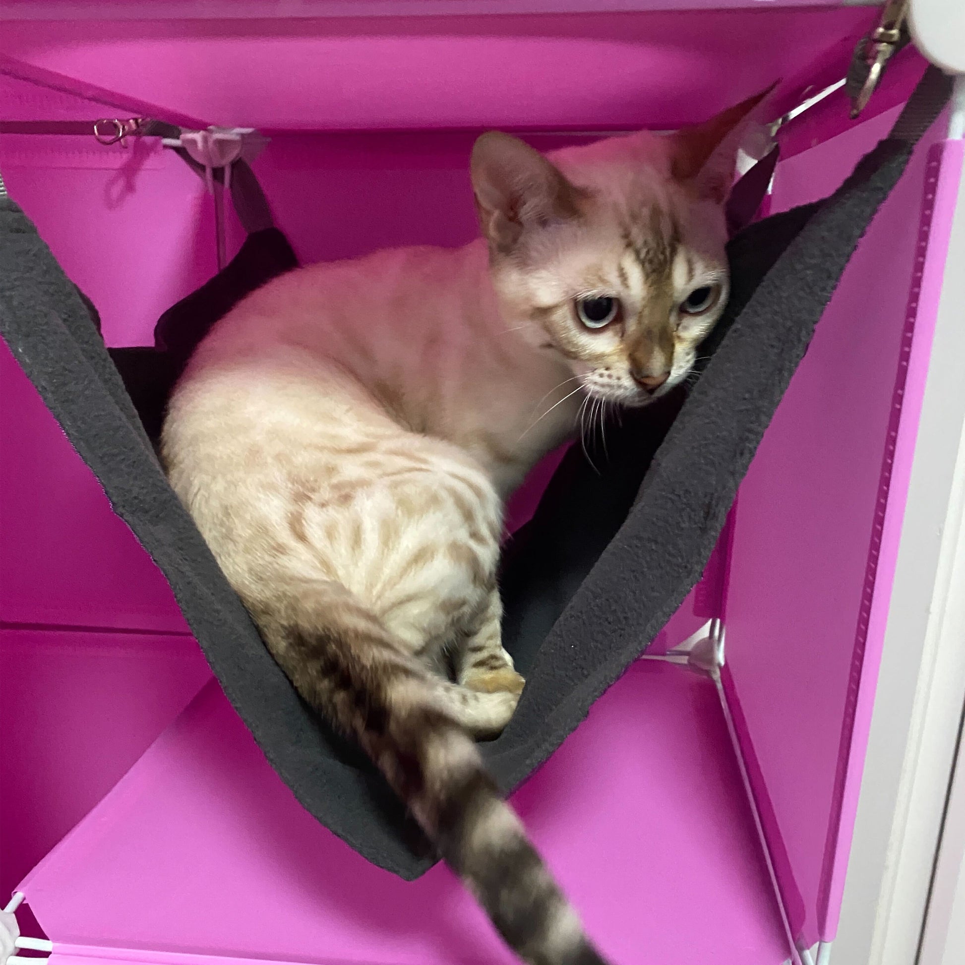 Kitty Cubby Cat Cube Play Tower MAXI - Best4Trade-Retail PETS
