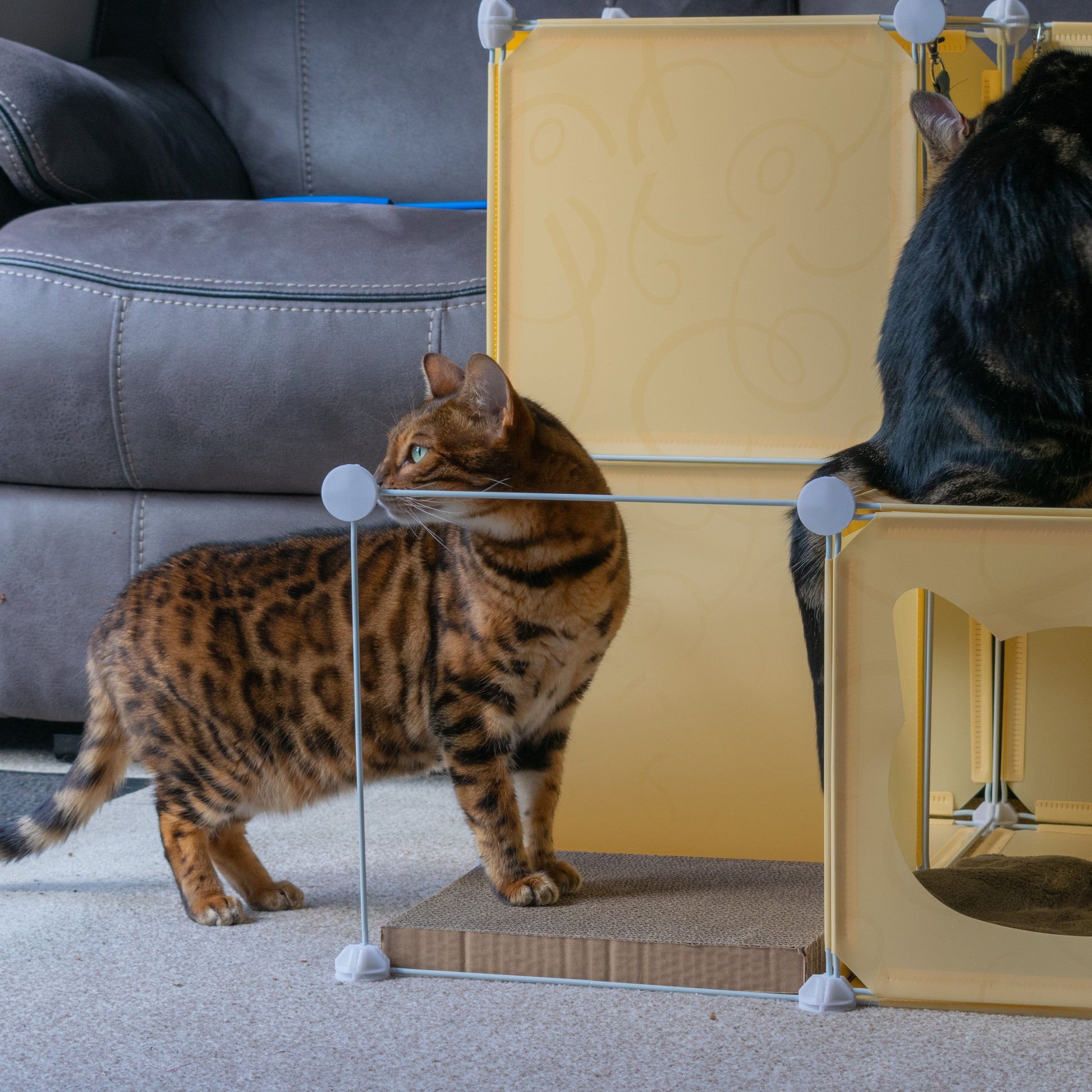 Kitty Cubby Cat Cube Play Tower MIDI - Best4Trade-Retail PETS