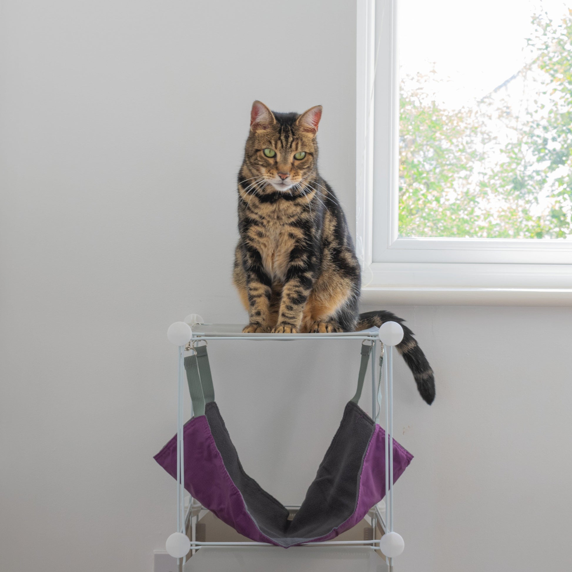 Kitty Cubby Cat Cube Play Tower MIDI - Best4Trade-Retail PETS