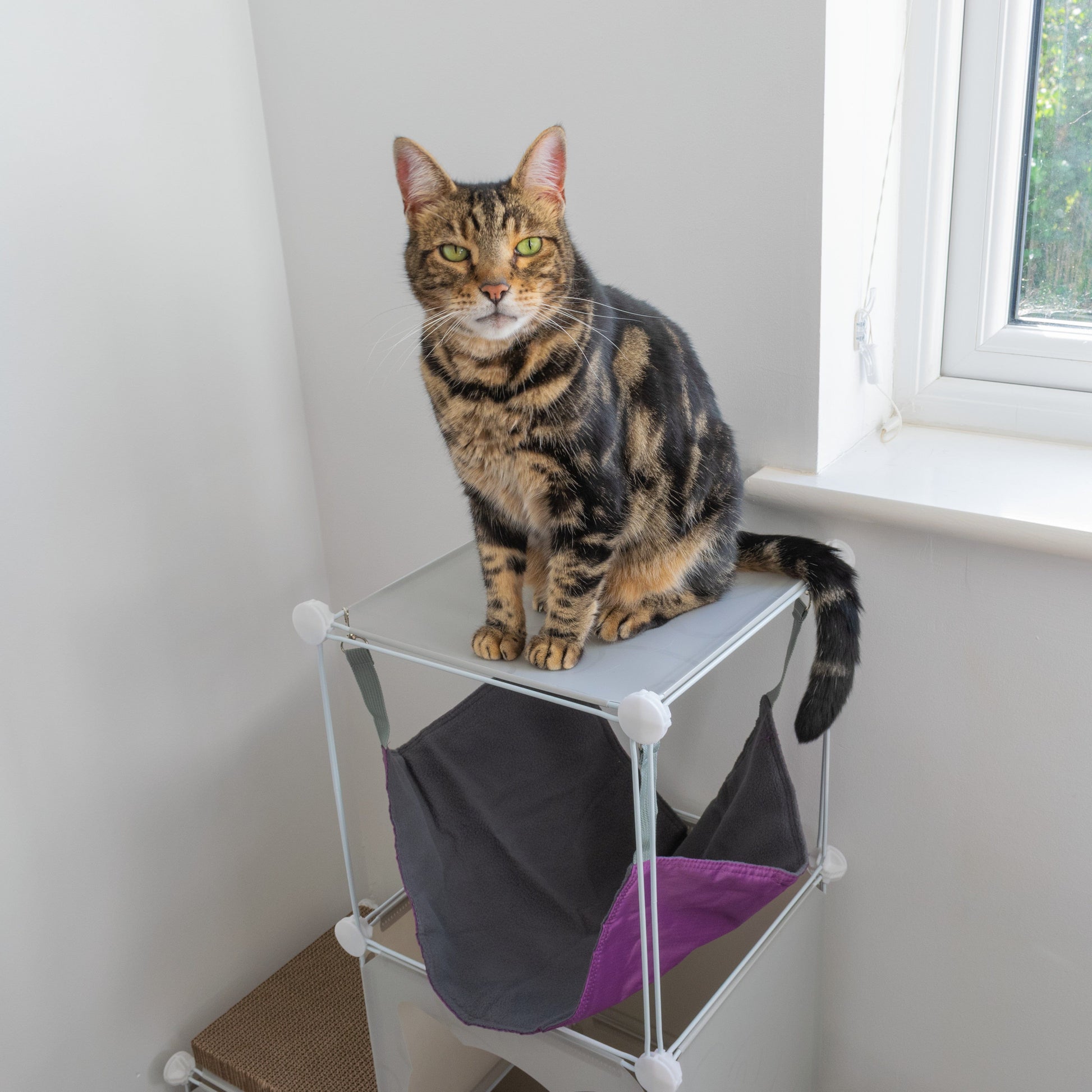 Kitty Cubby Cat Cube Play Tower MIDI - Best4Trade-Retail PETS