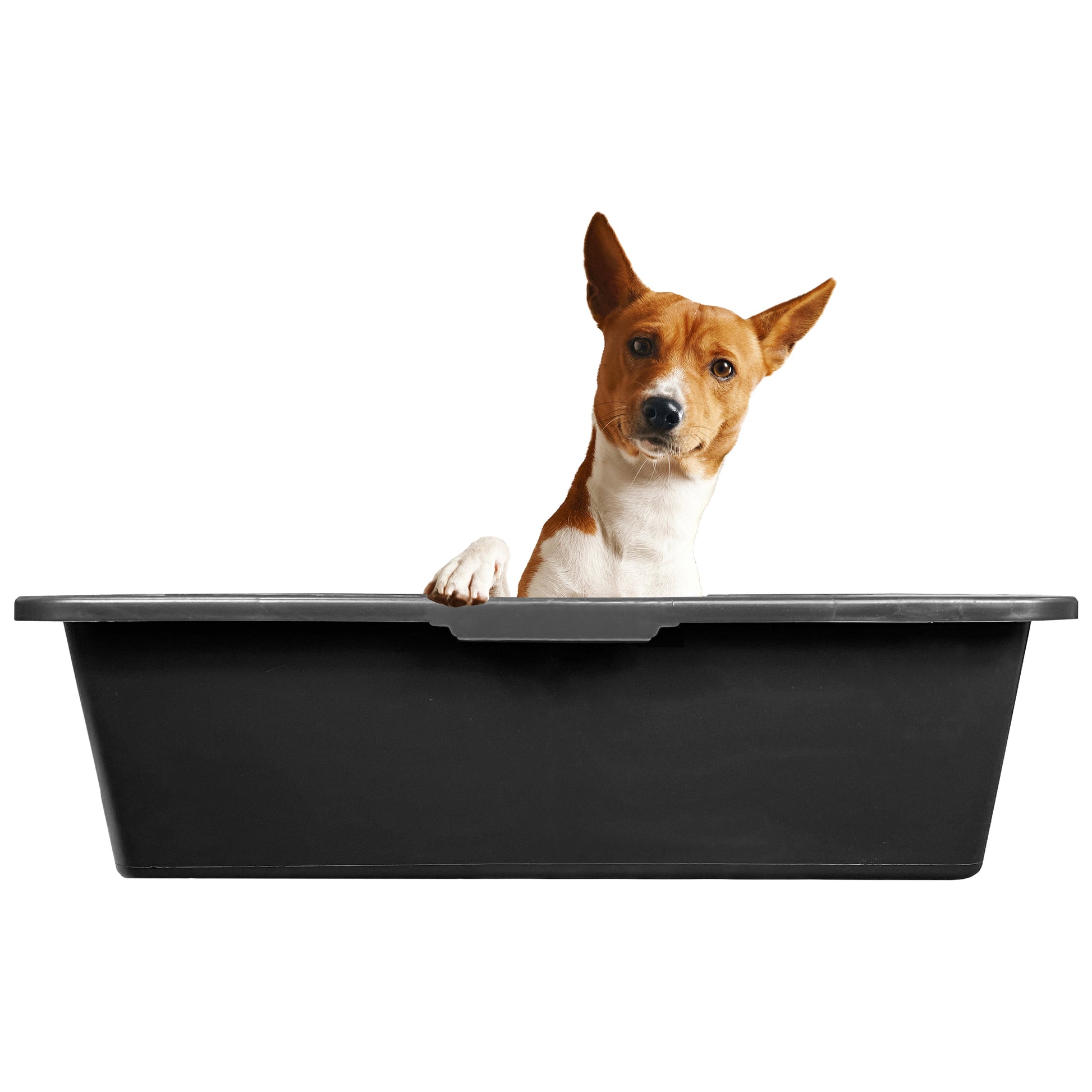 Dog Bath with Tap 40L - Best4Trade-Retail