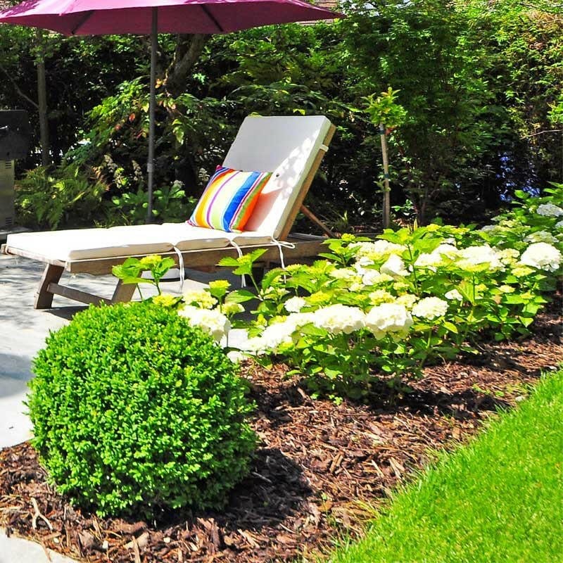 Landscaping Garden Bark Mulch - Dandy's Topsoil & Landscape Supplies Bark & Mulch