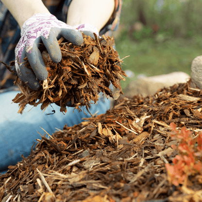 Landscaping Garden Bark Mulch - Dandy's Topsoil & Landscape Supplies Bark & Mulch