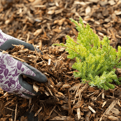 Landscaping Garden Bark Mulch - Dandy's Topsoil & Landscape Supplies Bark & Mulch