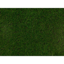Load image into Gallery viewer, 30mm Ludus - All Lengths - Namgrass
