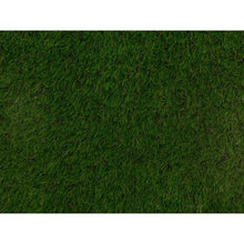 Load image into Gallery viewer, 30mm Ludus - Sample - Namgrass
