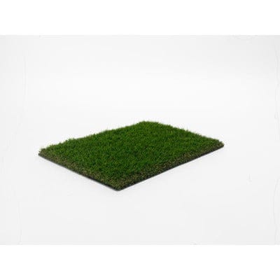 30mm Ludus - Sample - Namgrass