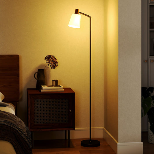 HOMCOM Floor Lamp with 350° Rotatable Head, Modern Standing Lamp with 3000K/4000K/6500K Colour Temperatures for Living Room Bedroom Office, Black