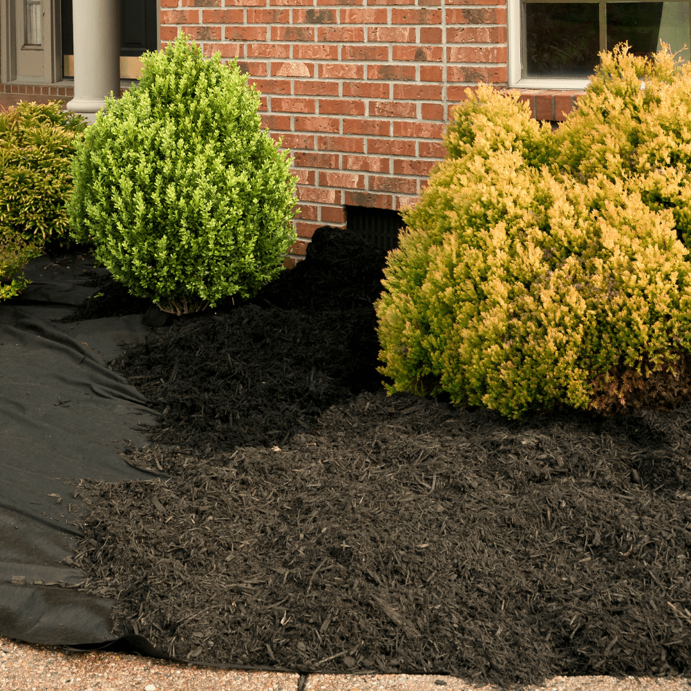 Composted Mulch Bark Fines - Dandy's Topsoil & Landscape Supplies Topsoil & Compost