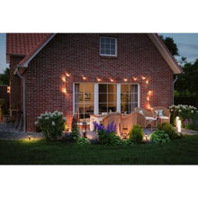 Load image into Gallery viewer, Outdoor Plug &amp; Shine LED Basket Single Luminaire
