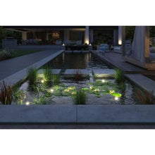 Load image into Gallery viewer, Outdoor Plug &amp; Shine LED Spotlight Pond Luminaire
