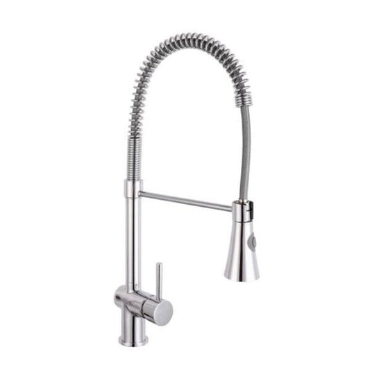 Chiana Kitchen Mixer Tap With Flexi Spray - Reginox