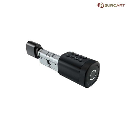 EA Euro Cylinder Digital Lock - Euro Art Digital Locks