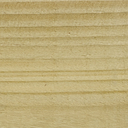 Clear - Stable Coat Paint