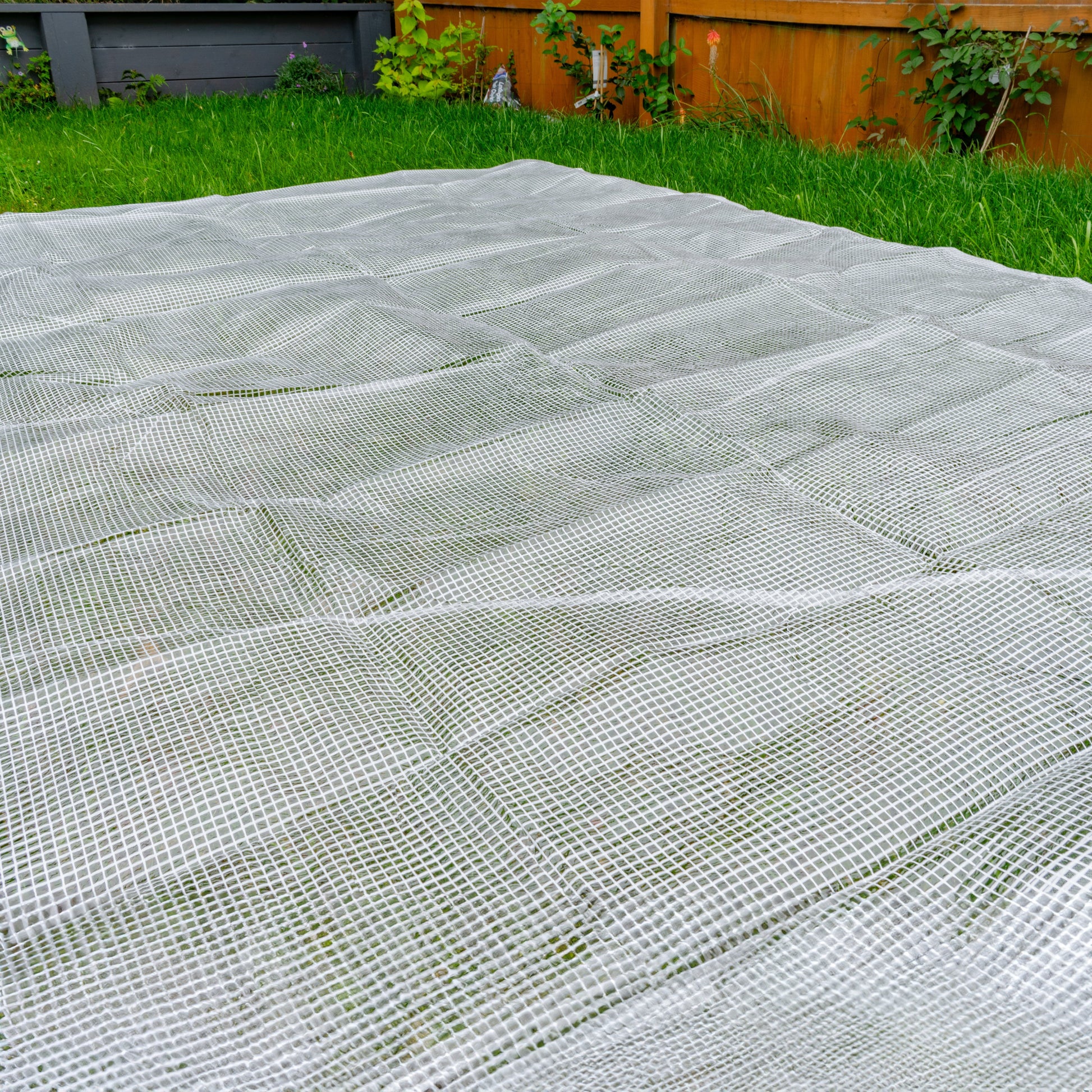 Clear XL-Grade Tarpaulin with Bungee Balls (Black) - Best4Trade-Retail Tarpaulins
