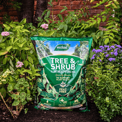 Tree & Shrub Planting & Potting Mix 50ltr Bulk Buy