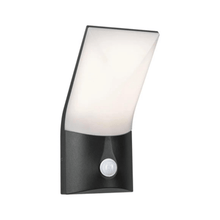 Load image into Gallery viewer, Outdoor 230V Adya LED Exterior Wall Light - Paulmann
