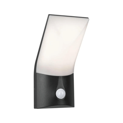 Outdoor 230V Adya LED Exterior Wall Light - Paulmann