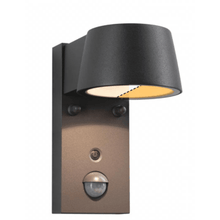 Load image into Gallery viewer, Outdoor 230V Capera Motion Detector Insect Friendly LED Exterior Wall Light - Paulmann
