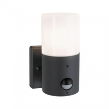 Load image into Gallery viewer, Outdoor 230V Tubs Motion Detector Exteror Wall Light - Paulmann
