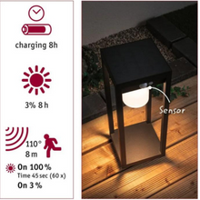 Load image into Gallery viewer, Outdoor Solar Light Object Marisol IP44 3000K PIR - Paulmann
