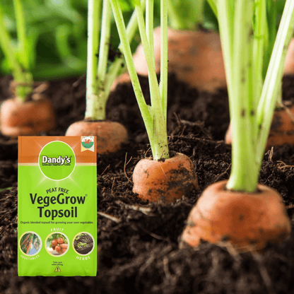 VegeGrow® Welsh Topsoil for vegetables - Dandy's Topsoil & Landscape Supplies Topsoil & Compost