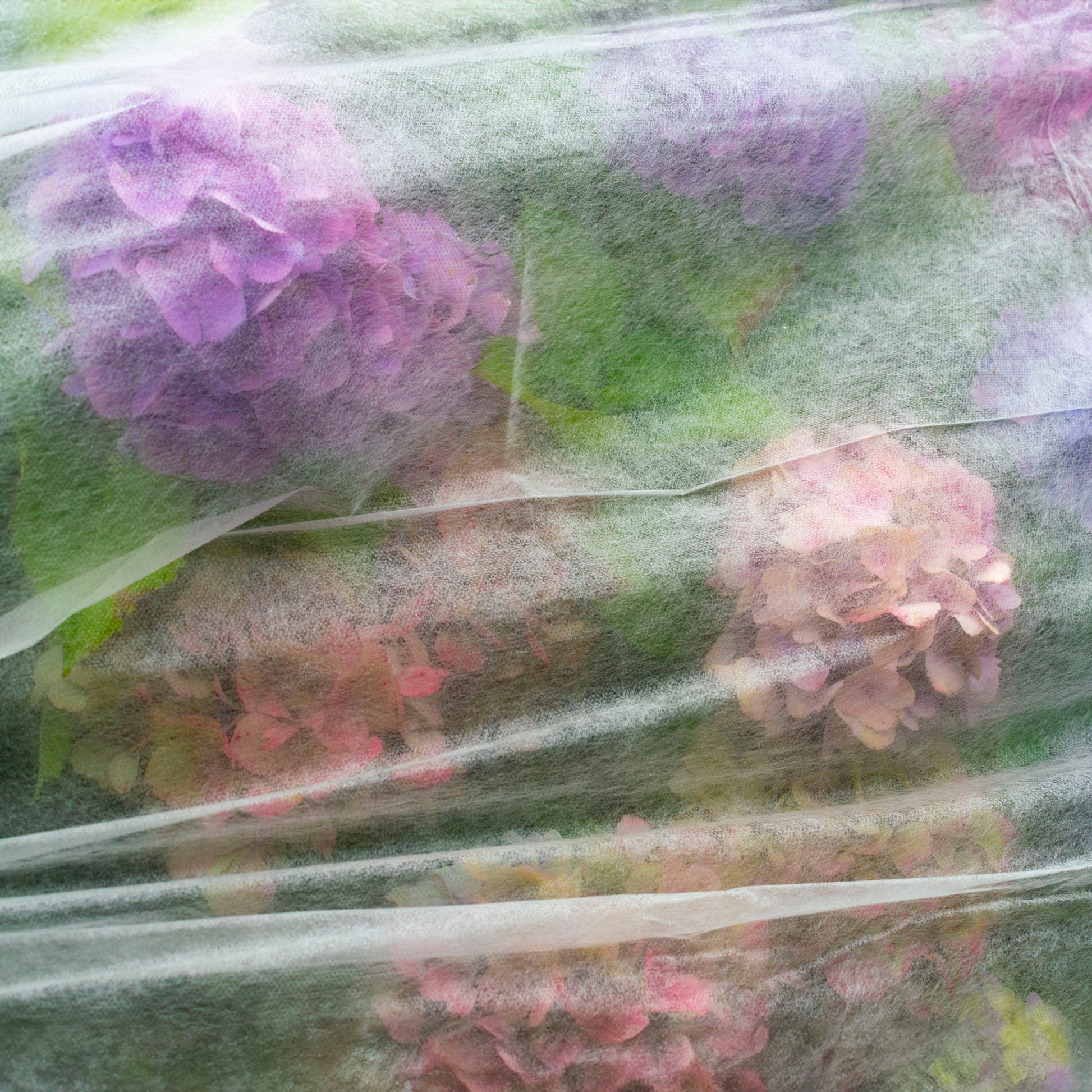 17g Non-Woven Frost Protect Fleece 3.2m x 10m - Best4Trade-Retail Garden tools & Accesories