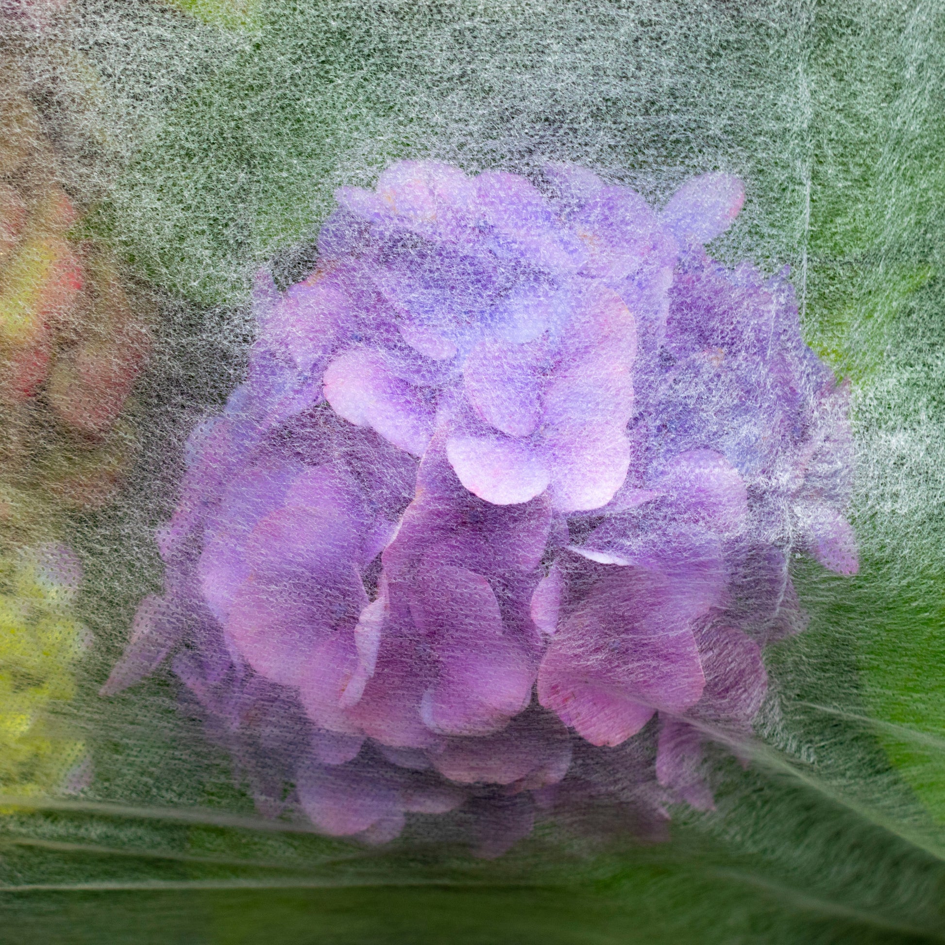 17g Non-Woven Frost Protect Fleece 1.1m x 10m - Best4Trade-Retail Garden tools & Accesories