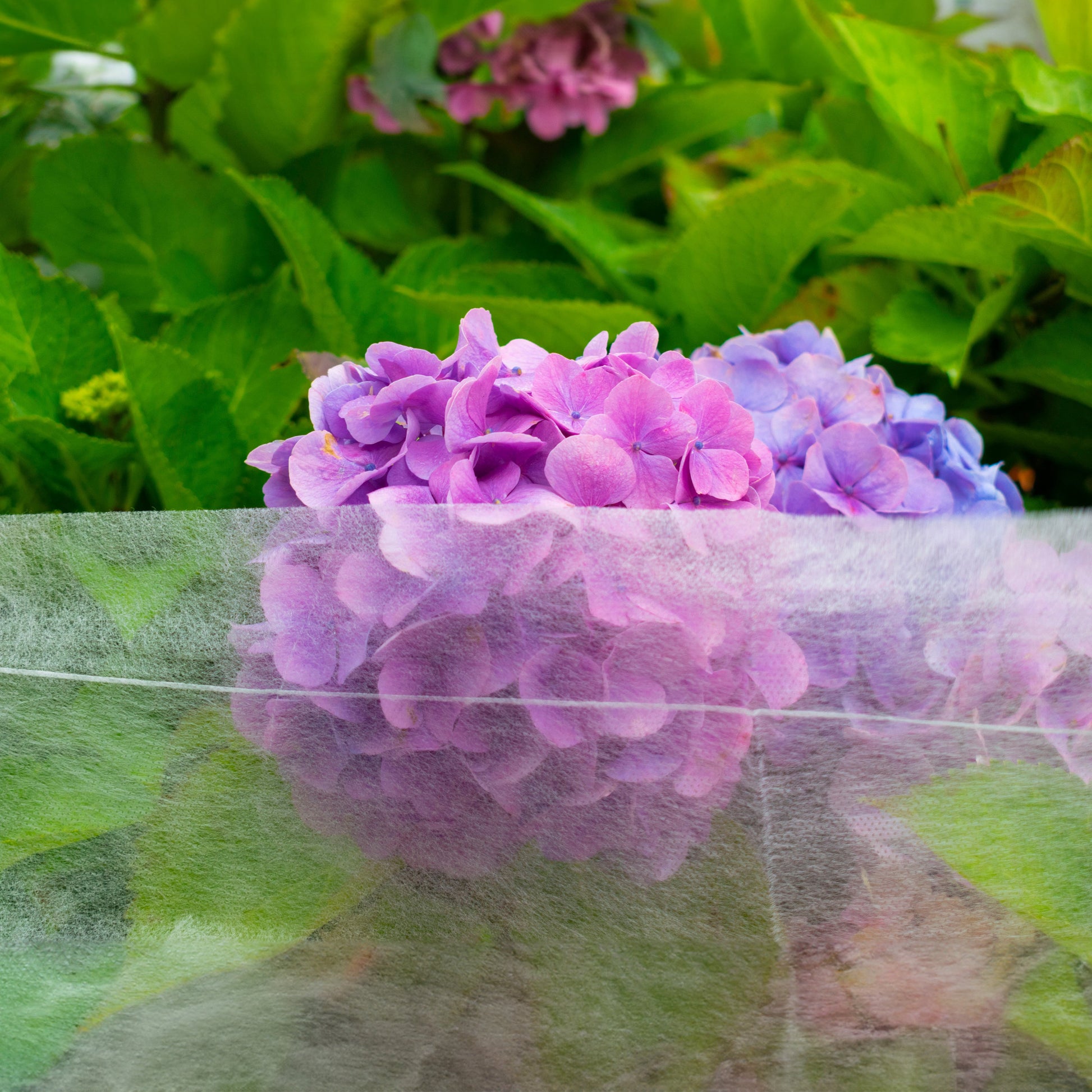 17g Non-Woven Frost Protect Fleece 1.6m x 10m - Best4Trade-Retail Garden tools & Accesories