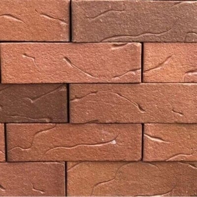 Aspen Red Multi Brick 65mm x 215mm x 102mm - Sample - Ceramica Pierola