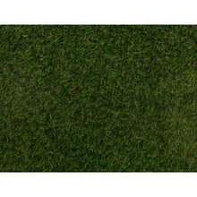 Load image into Gallery viewer, 35mm Weston - Sample - Namgrass
