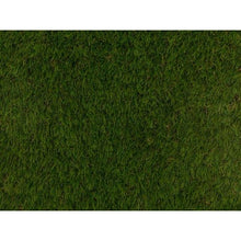 Load image into Gallery viewer, 35mm Wilverley - All Lengths - Namgrass
