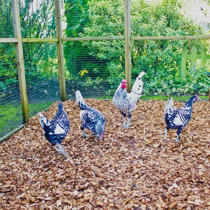 Chicken Coop Chips - Dandy's Topsoil & Landscape Supplies Bark & Mulch
