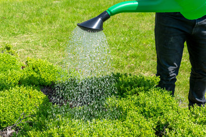 Garden Watering Can 10 Litres - Best4Trade-Retail Garden watering
