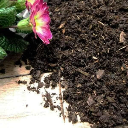 Composted Mulch Bark Fines - Dandy's Topsoil & Landscape Supplies Topsoil & Compost