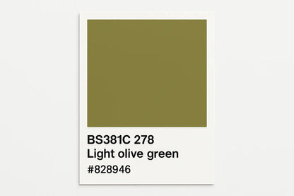 381C 278 Light olive green 400ml Aerosol Available in any Finish