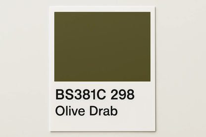 381C 298 Olive drab 400ml Aerosol Available in any Finish