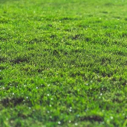 Rootzone Sand and Soil Mix - Dandy's Topsoil & Landscape Supplies Sand & Building Materials