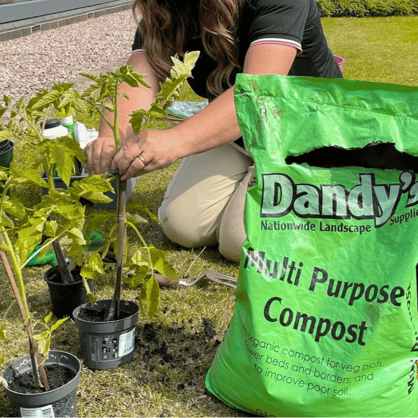 Multi Purpose Welsh Compost - Dandy's Topsoil & Landscape Supplies Topsoil & Compost