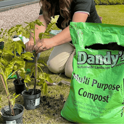 Multi Purpose Welsh Compost - Dandy's Topsoil & Landscape Supplies Topsoil & Compost