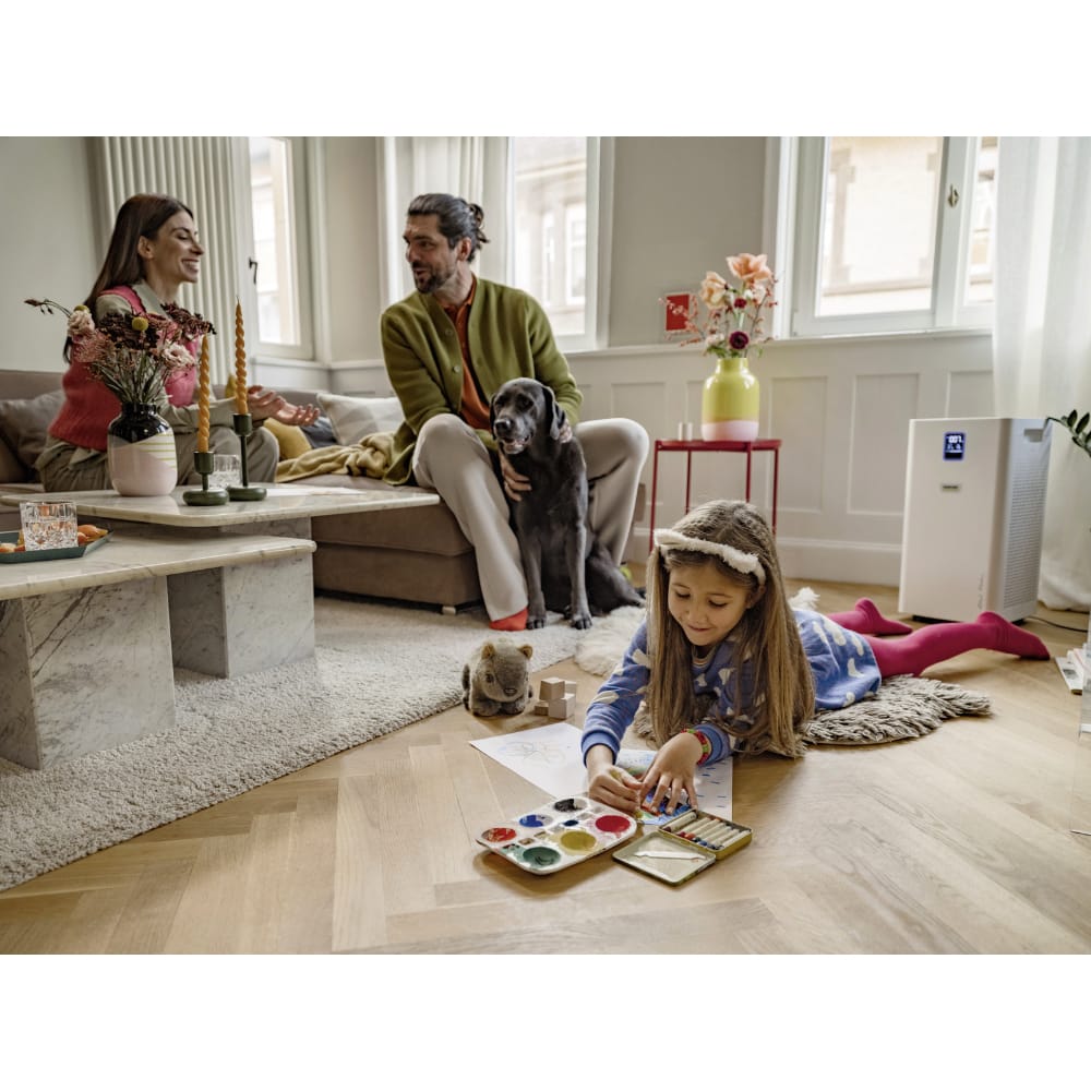 Karcher AF50 Air Purifier - Karcher