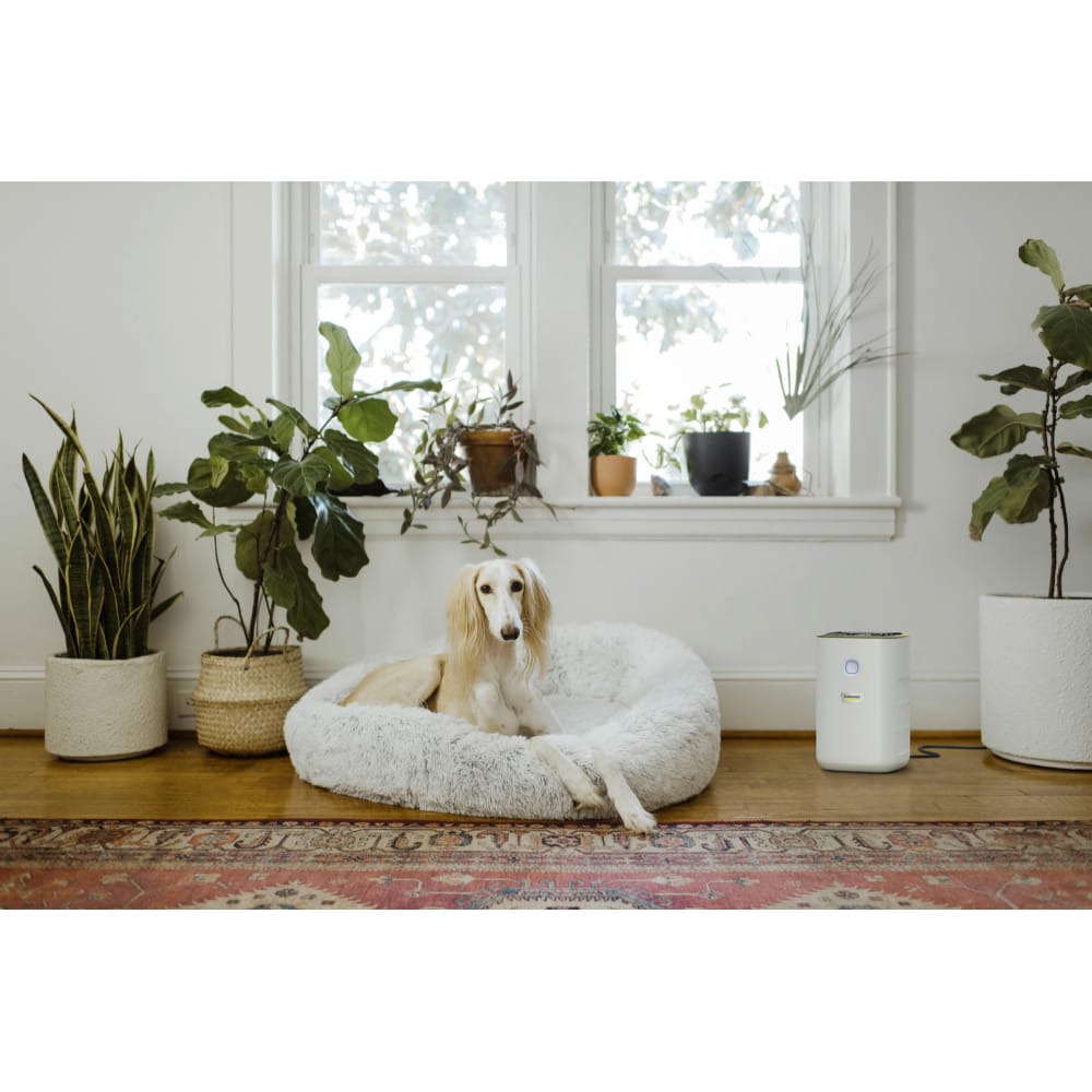 Karcher AF20 Air Purifier - Karcher